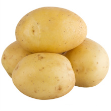 2021 new crop high quality low price Chinese potato for whoesale